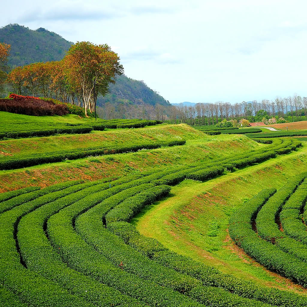 SustainESG Solutions Sz